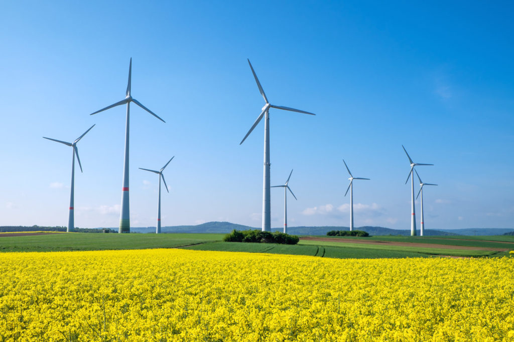 The photo shows a wind farm